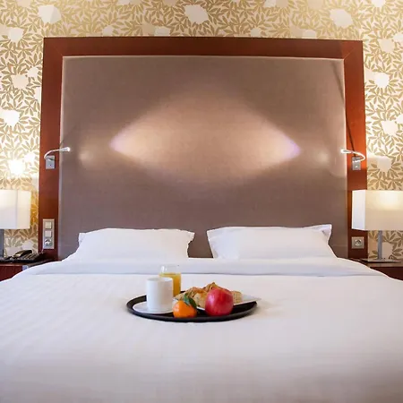 Clarion Paris Cdg Airport Hotel 4*