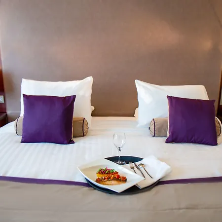 Clarion Paris Cdg Airport Roissy-en-France
